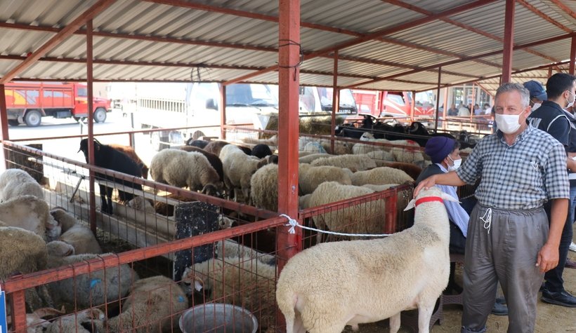 Kurban satıcılarına sahte para uyarısı