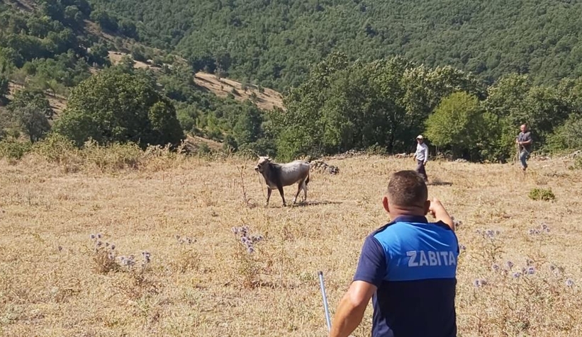 Kurbanda kaçtı, 26 gün sonra yakalandı