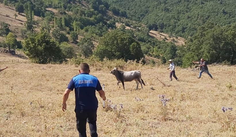 Kurbanda kaçtı, 26 gün sonra yakalandı