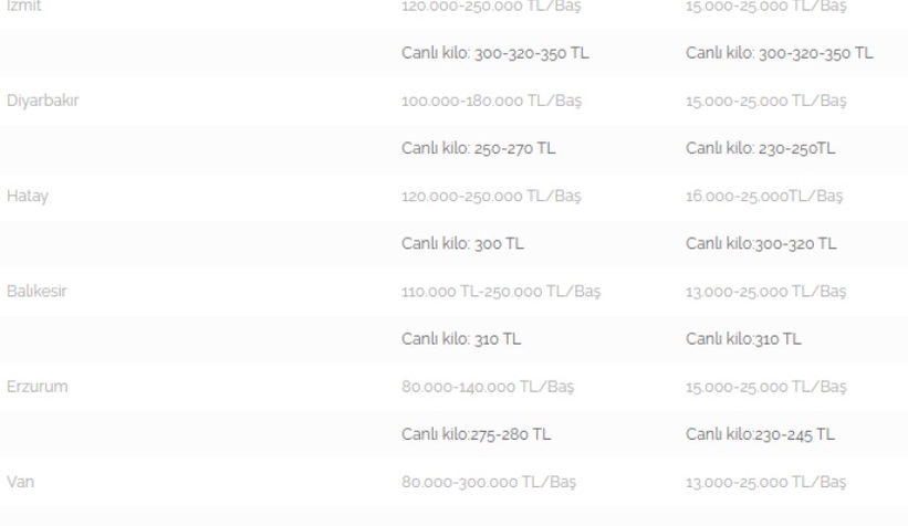 kurbanlik-fiyatlarinda-son-durum-aciklandioglnzlrmqs
