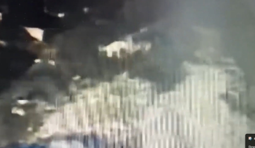 Kurt dehşeti kamerada