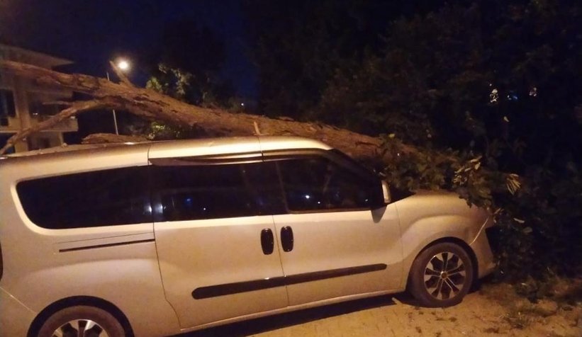 Kurumuş ağaç, park halindeki aracın üzerine devrildi