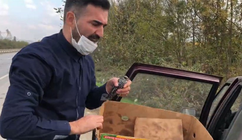 Kuşlara yardıma koşan vatandaş o anları anlattı