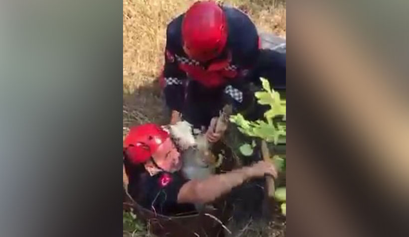 Kuyuya düşen keçi itfaiye ekiplerince kurtarıldı