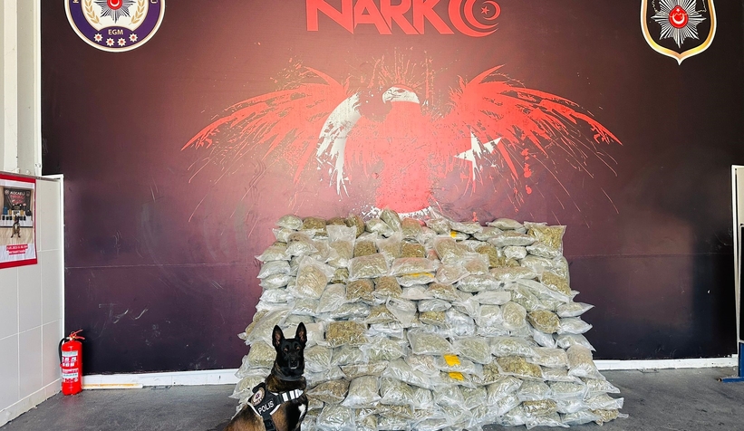 Kuzey Marmara'da büyük uyuşturucu operasyonu