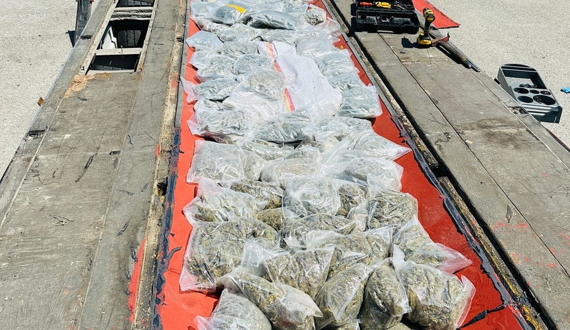 Kuzey Marmara'da büyük uyuşturucu operasyonu