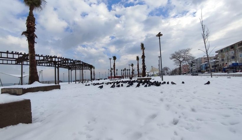 Kuzey sahili beyaza büründü