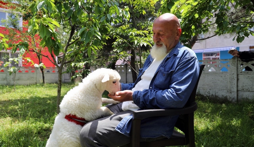 Kuzusu peşinden hiç ayrılmıyor, nereye gitse peşinden geliyor