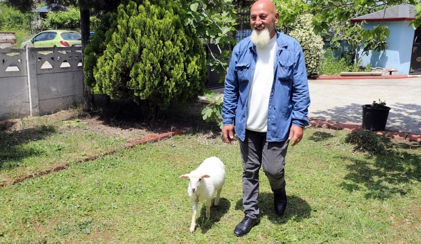 Kuzusu peşinden hiç ayrılmıyor, nereye gitse peşinden geliyor