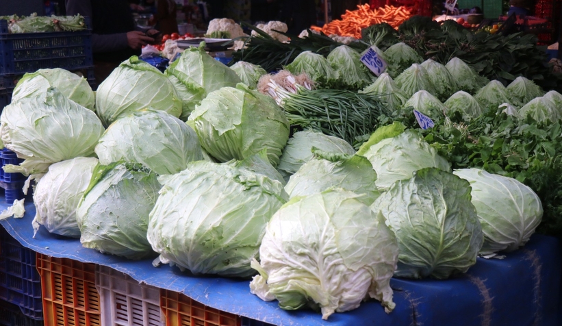 lahana-hasadi-devam-ediyorcmvgrgficu