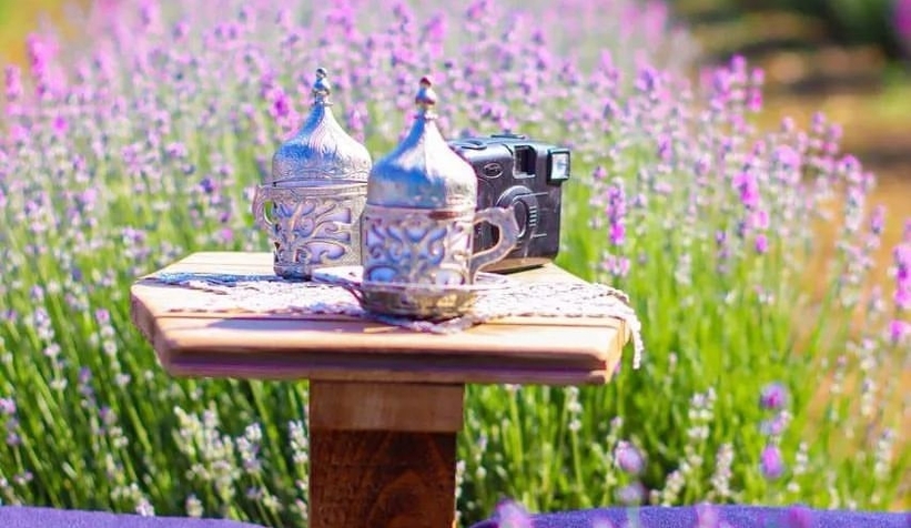 lavanta-bahcesi-fotografcilarin-ugrak-noktasi-olduu1bwd2l6eu