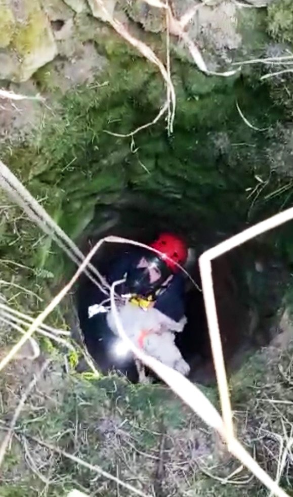 Leydi’nin imdadına itfaiye yetişti