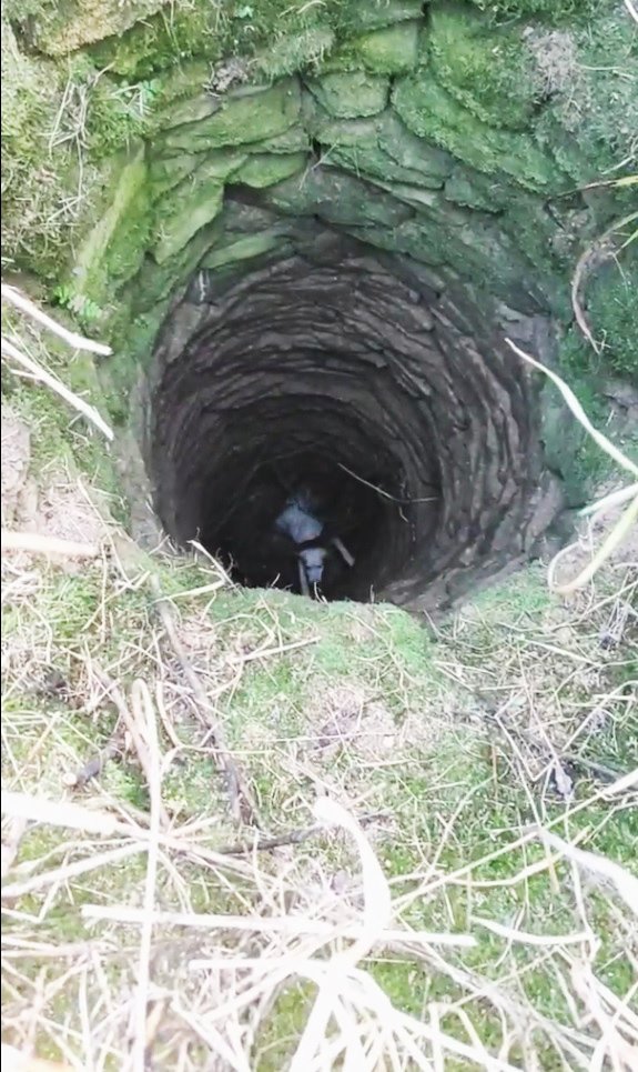 Leydi’nin imdadına itfaiye yetişti