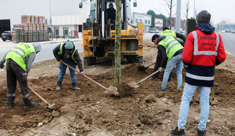 Londra çınarları Şehit İlhan Aras’a güzellik katacak
