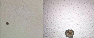 Maganda terörü bitmiyor