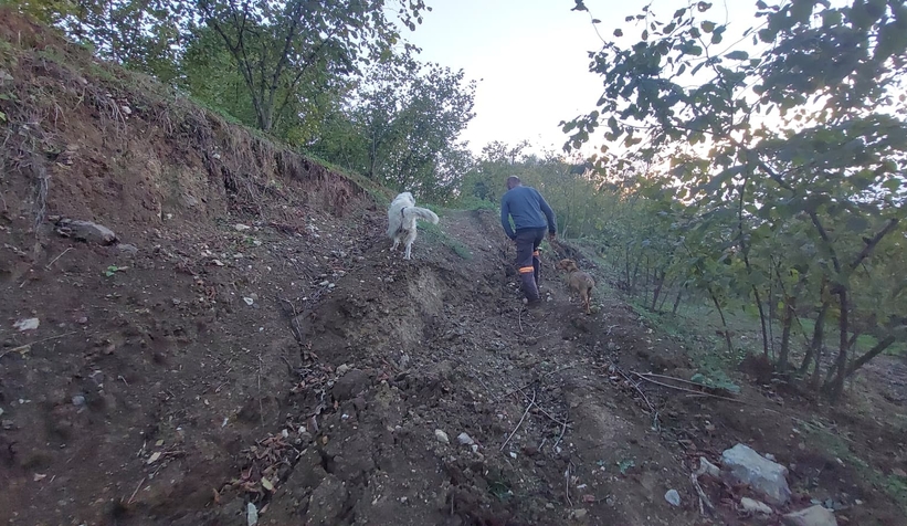 mahallede-tas-ocagi-kabusu-afet-bolgesi-ilan-edildiay8vzlc5yx