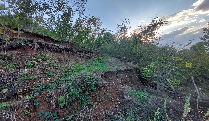 mahallede-tas-ocagi-kabusu-afet-bolgesi-ilan-edildiay8vzlc5yx