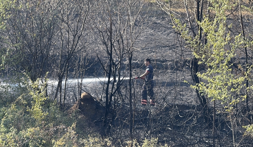 Mahallede yangın paniği