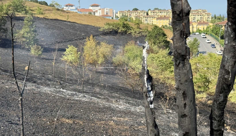 Mahallede yangın paniği