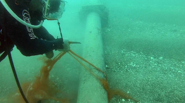 Marka’sız ağ ile avlanan balıkçılara ceza