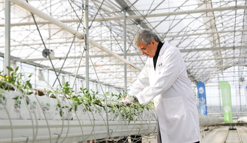 Marmara'nın başkanları Akyazı'da sera merkezini gezdi