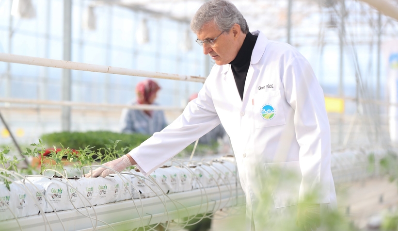 Marmara'nın başkanları Akyazı'da sera merkezini gezdi