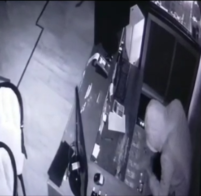 Maymun hırsız tutuklandı