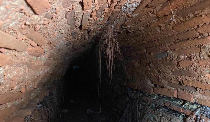 merak-uyandiran-tunelui9ruxzqqj