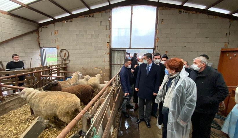 Meral Akşener Sakarya'da çiftçinin sorunlarını dinledi
