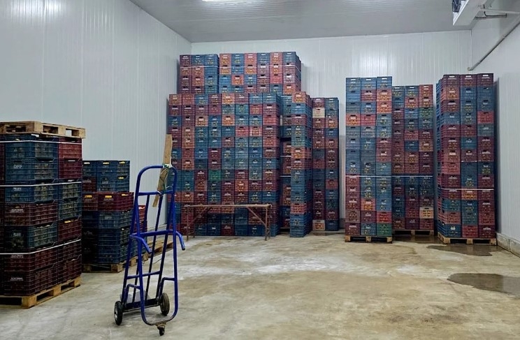 mersin-de-iki-depoda-kayit-disi-380-ton-limon-tespit-edildisvv0wfk5bf