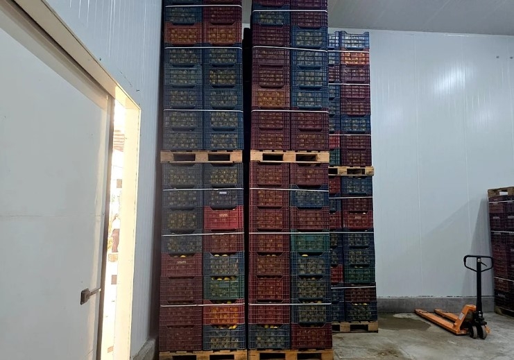 mersin-de-iki-depoda-kayit-disi-380-ton-limon-tespit-edildisvv0wfk5bf
