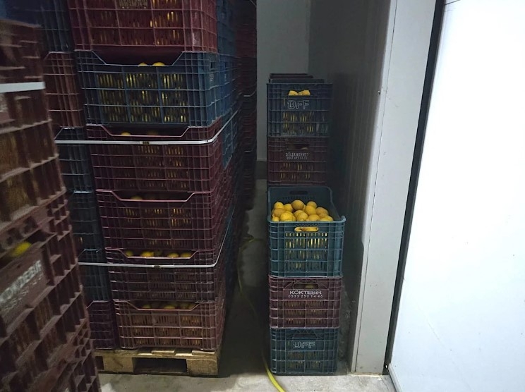 mersin-de-iki-depoda-kayit-disi-380-ton-limon-tespit-edildisvv0wfk5bf
