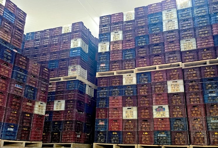 mersin-de-iki-depoda-kayit-disi-380-ton-limon-tespit-edildisvv0wfk5bf
