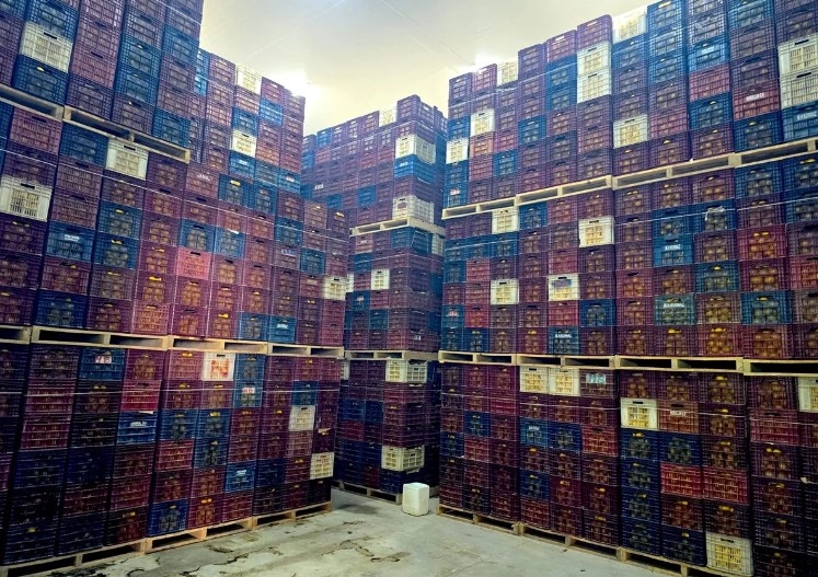 mersin-de-iki-depoda-kayit-disi-380-ton-limon-tespit-edildisvv0wfk5bf