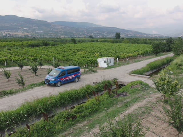 Meyve bahçeleri dron ile korunuyor