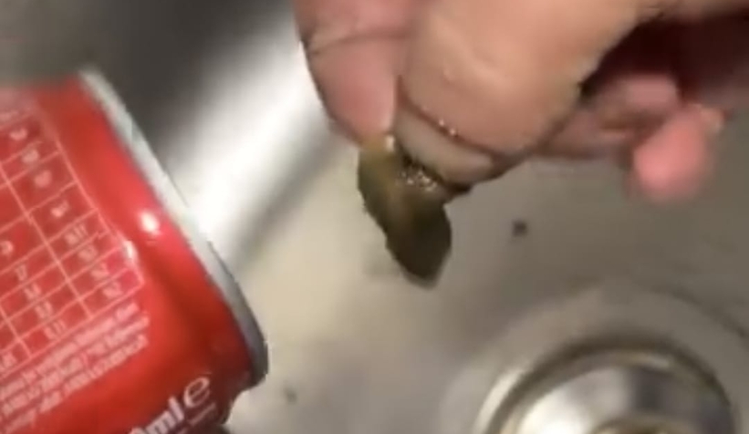 meyve-suyundan-cikan-cisimle-sok-oldub0llv29ek1