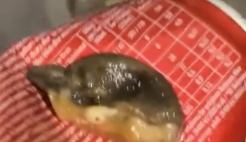 meyve-suyundan-cikan-cisimle-sok-oldub0llv29ek1