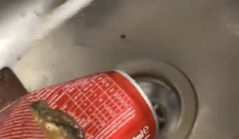 meyve-suyundan-cikan-cisimle-sok-oldub0llv29ek1