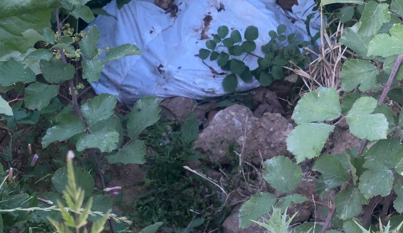 mezarlik-kenarinda-at-kemikleri-bulundumk1wndvvdk