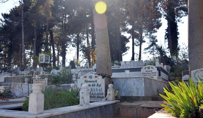 Mezarlıktaki ağacı kesmeye çalıştılar