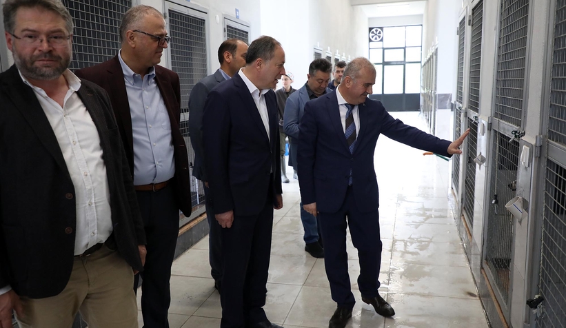 Milletvekili Kaya, Sokak Hayvanları Rehabilitasyon Merkezi’nde
