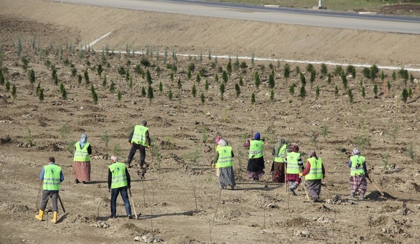 Milli Ağaçlandırma Bayramı töreni Akyazı'da yapıldı
