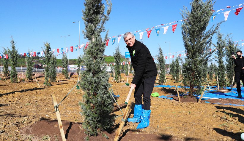 Milli Ağaçlandırma Günü'nde fidanlar toprakla buluştu