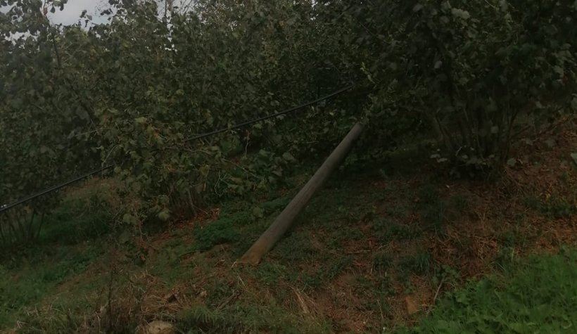 Milli servet kaderine terk edildi mahalleli isyanda