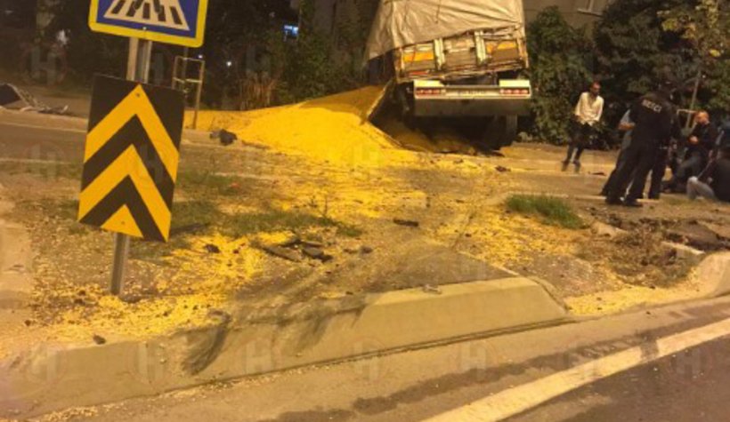 Mısır yüklü kamyon bahçeye daldı