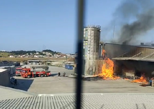 Mobilya fabrikasında yangın çıktı