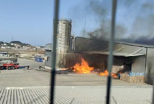 Mobilya fabrikasında yangın çıktı