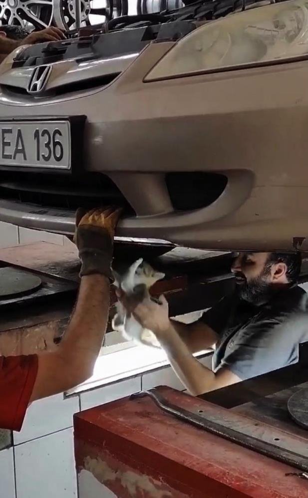 Motora giren yavru kedi sanayide kurtarıldı