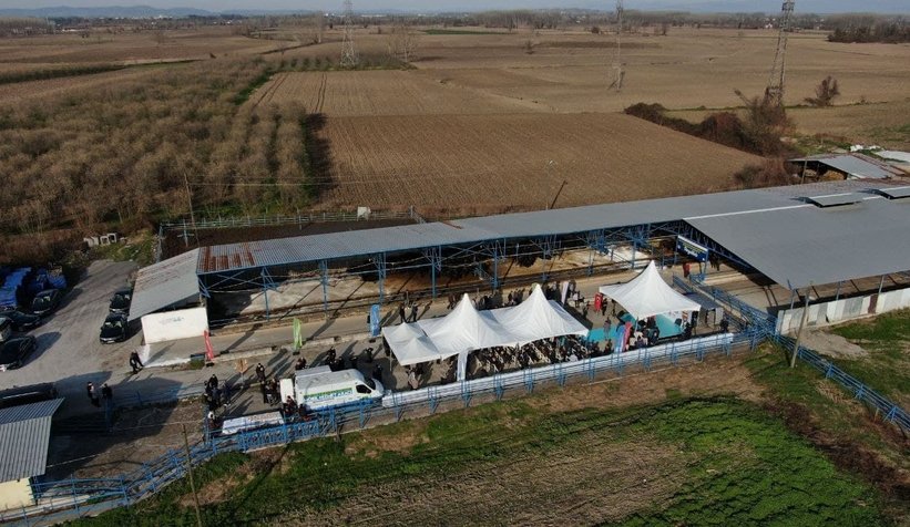 Mozzarella peynirini Sakarya üretecek