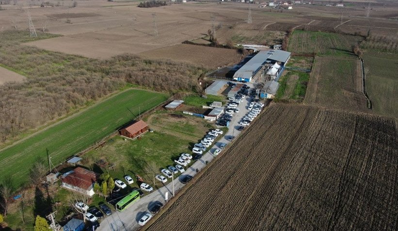 Mozzarella peynirini Sakarya üretecek